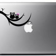 Owls on a branch vinyl laptop decal